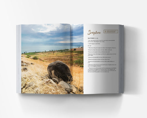 The Beatitudes and Francis of Assisi