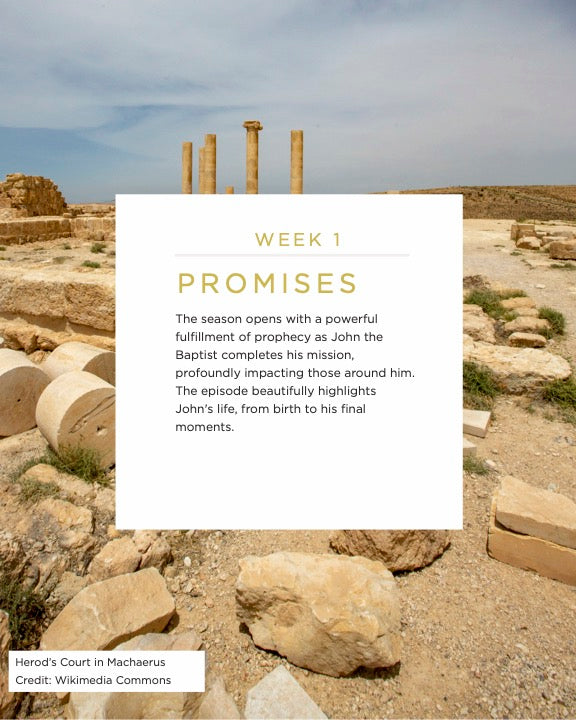 The Chosen Bible Study - Season 4