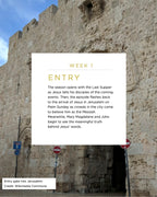 The Chosen Bible Study - Season 5