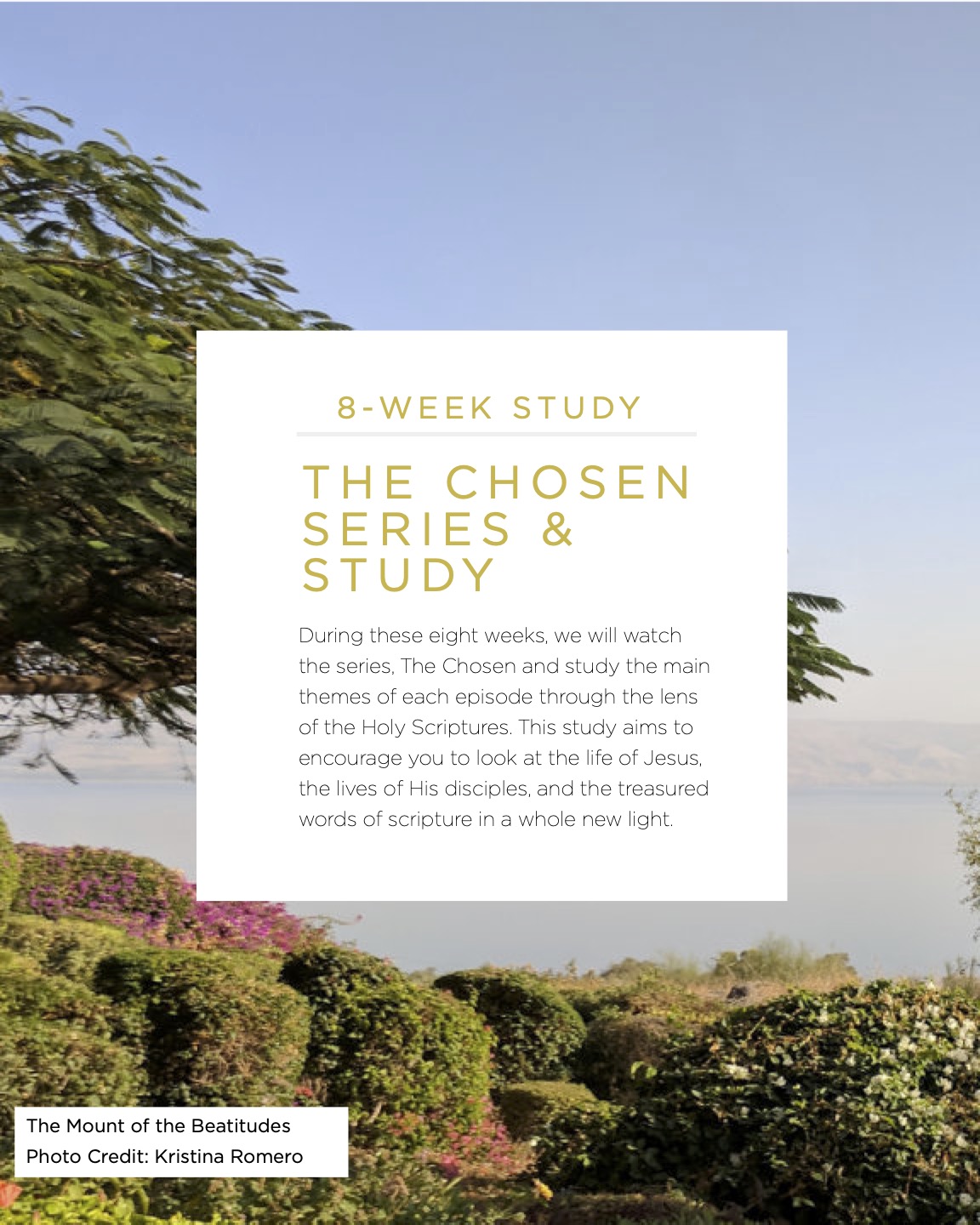 The Chosen - Bible Study Cover Page